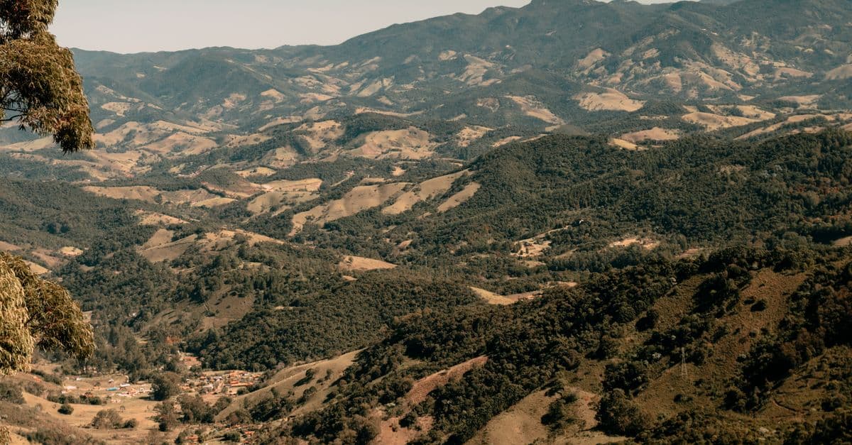 Campos do Jordao rain cozy Capivari — Foto: Manoel Junior (Pexels)