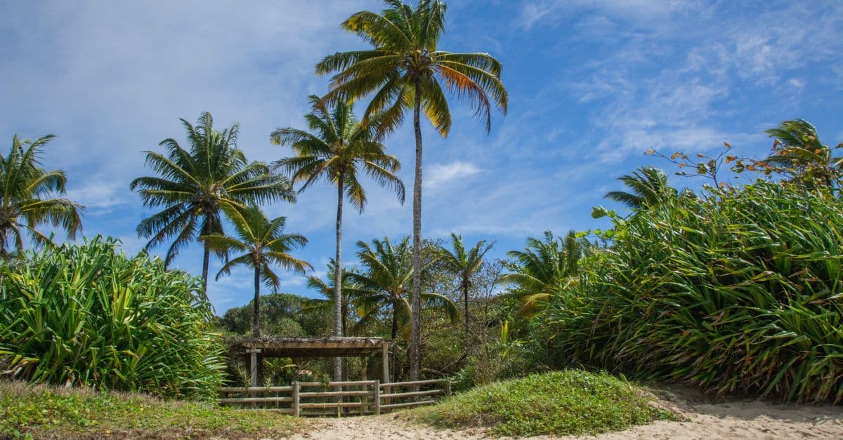 Praia do Espelho Porto Seguro Bahia — Foto: Jerson Martins (Pexels)