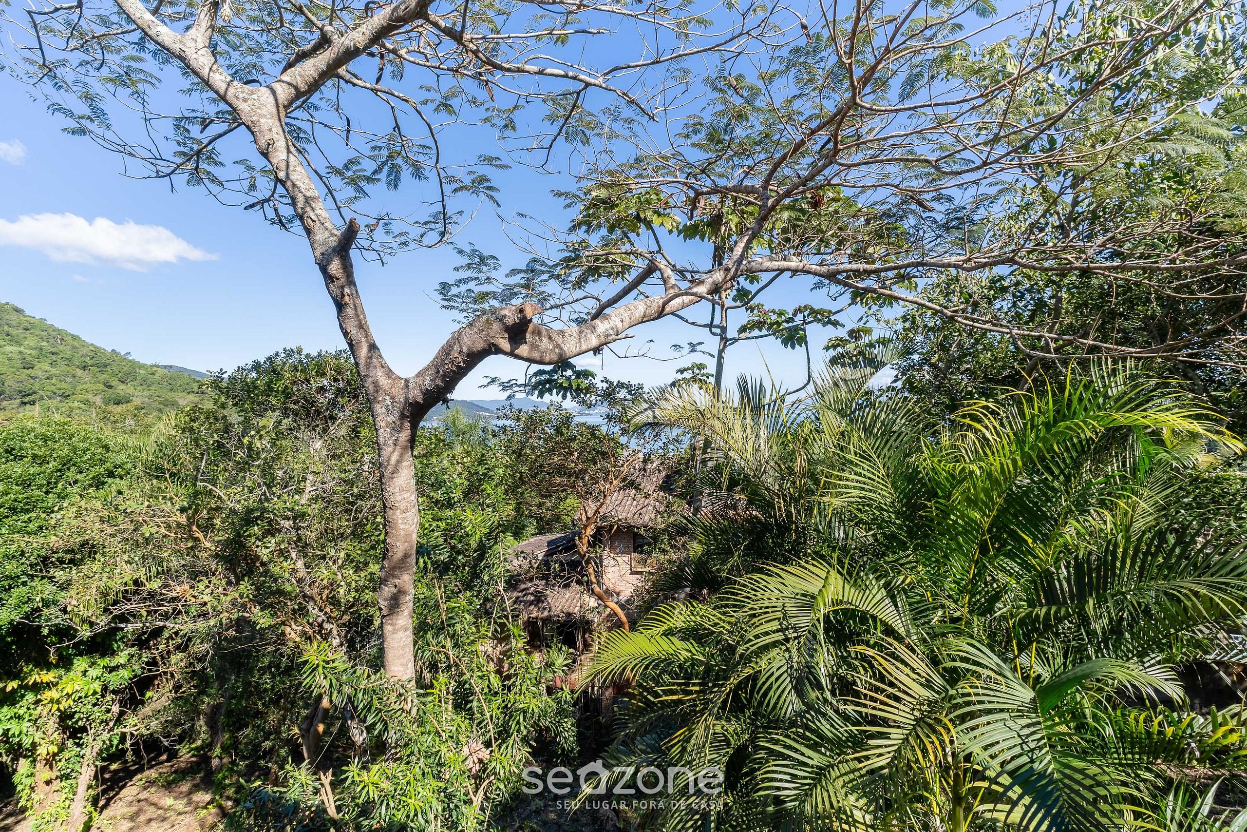 Foto da acomodação