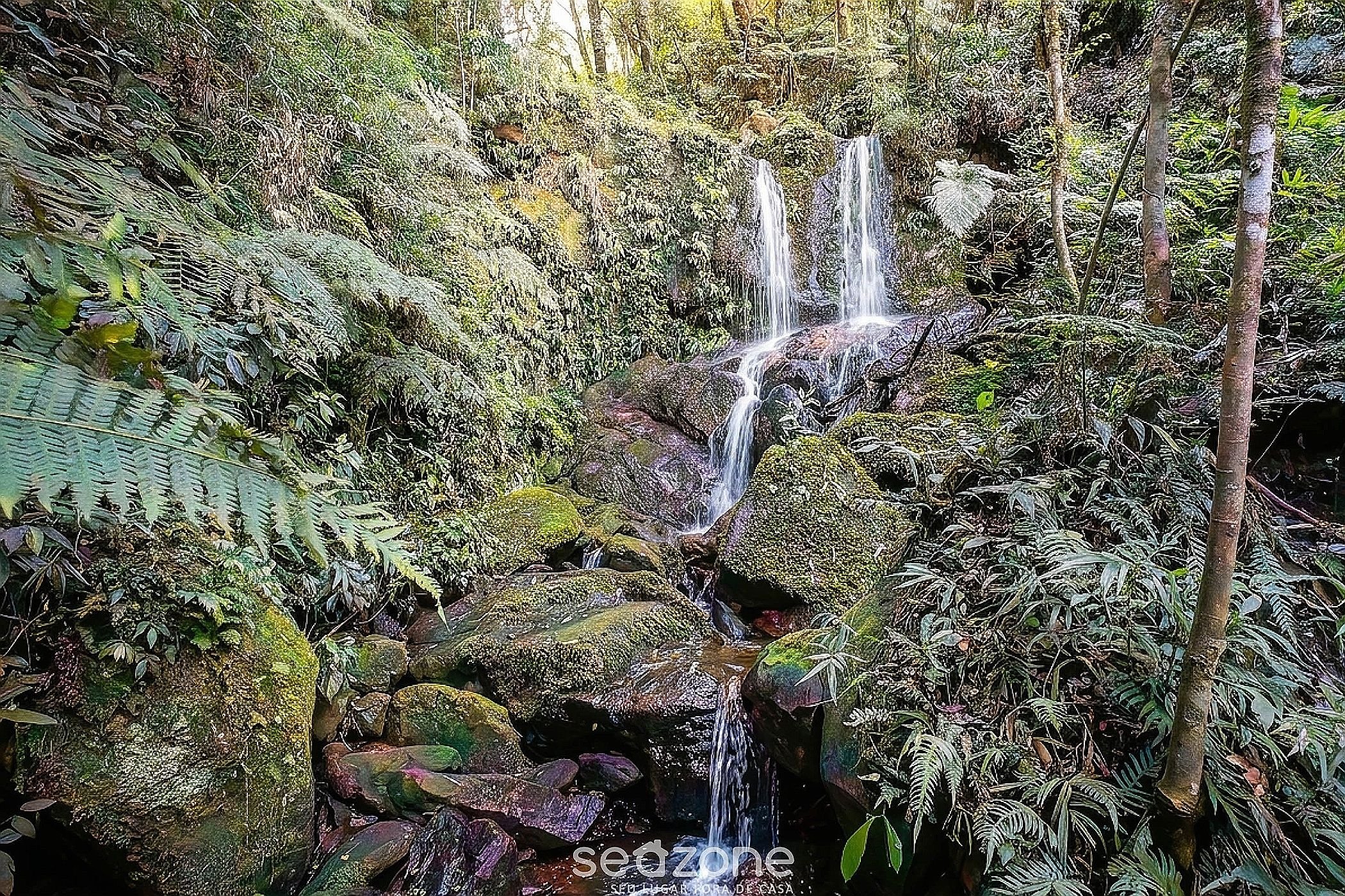 Foto da acomodação